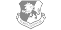 Logo vlado
